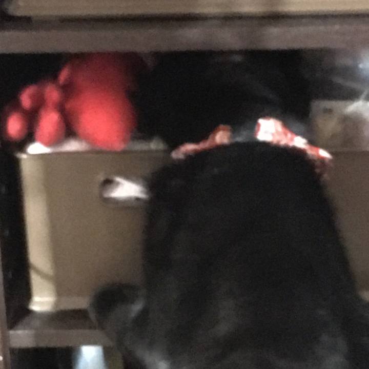 8f234e94 c93a 49ec 9b63 acca75682732