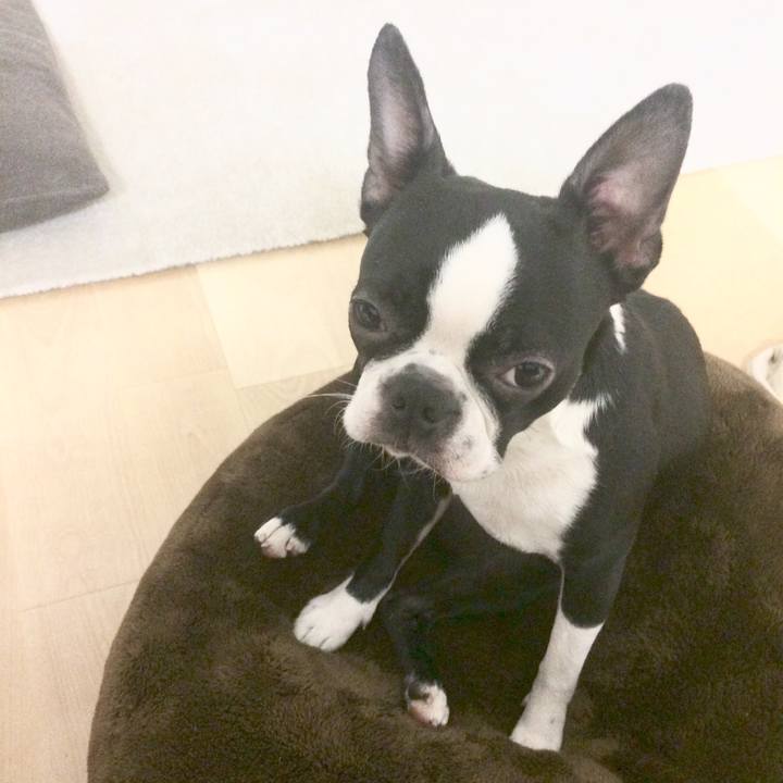 8f23e0de 590c 45aa afd3 22f89f672370