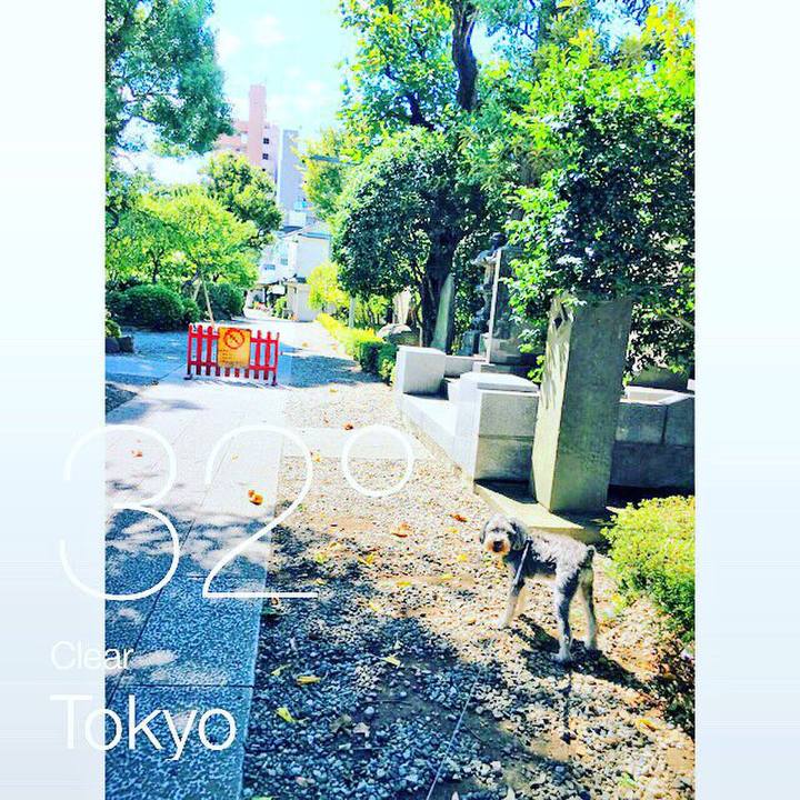 8f2440bc 305e 4ace 8a86 84dcedf55bbd