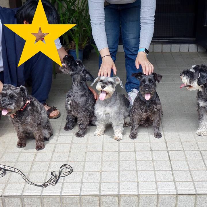 8f2497c6 3c71 4451 9380 f39ad01166e6