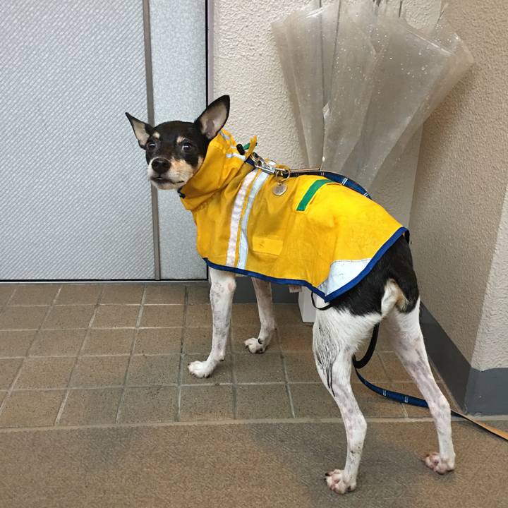 8f24ede7 5df4 4d02 b2a8 894fa0b7f90b