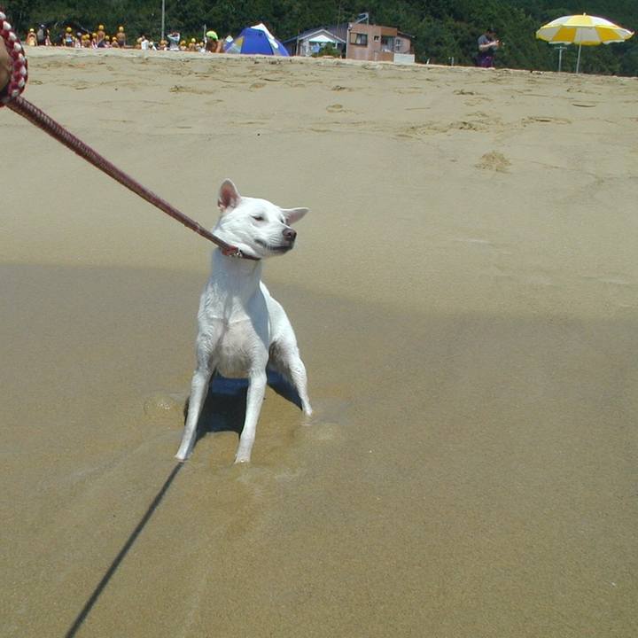 8f25a10a e43e 4bf1 b93b 599e45b05539