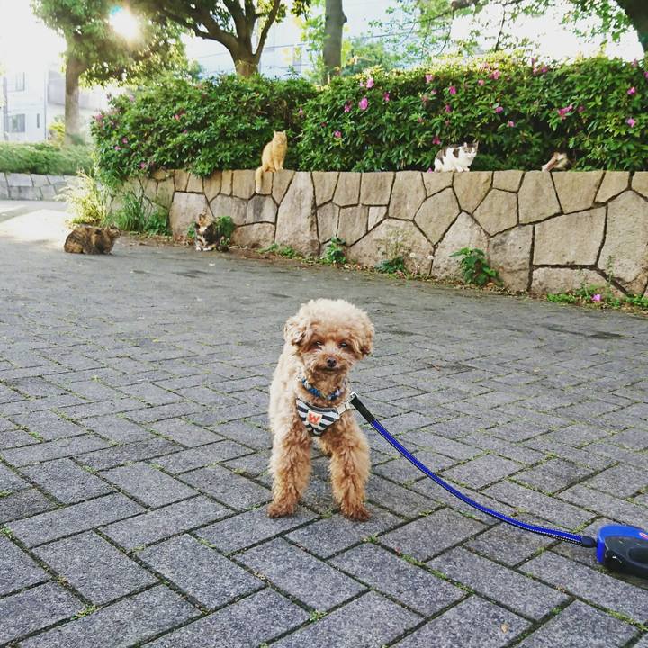 8f25f9e4 c8a8 42aa b3a9 902bb4590f43