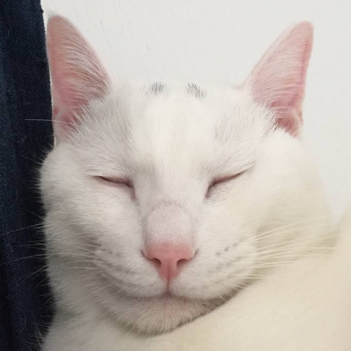 8f260286 eefa 4d07 996d c81a01a3d11d