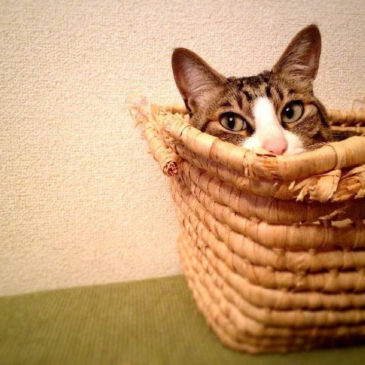 8f273897 5b54 4017 bd7c ee7b1cec8168