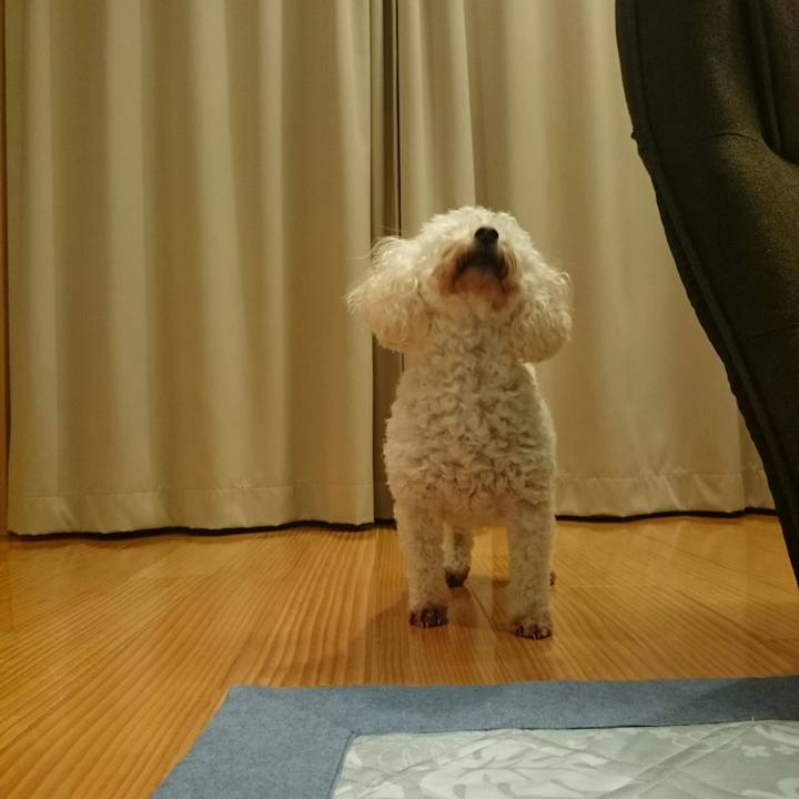 8f2762e1 12a4 44ab babc bdc0a1048487