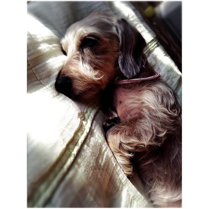 8f2803ac f505 4aa6 ae88 c56cd04da56c