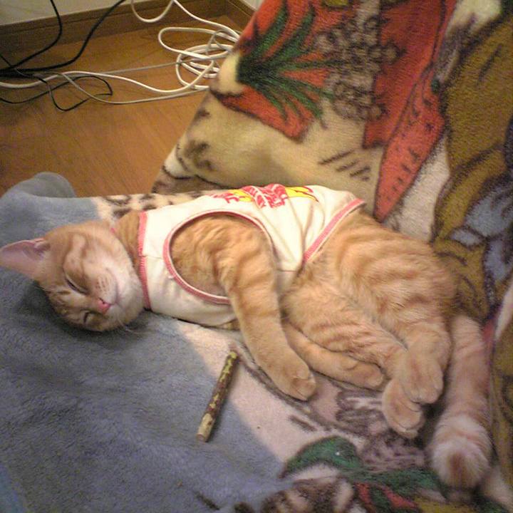 8f287d19 c070 4985 9010 ea949afc910b