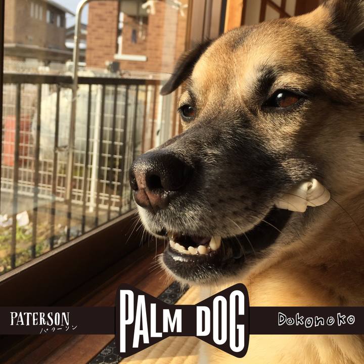 8f28dc2a 1ac2 4810 a97f 98e053e12096