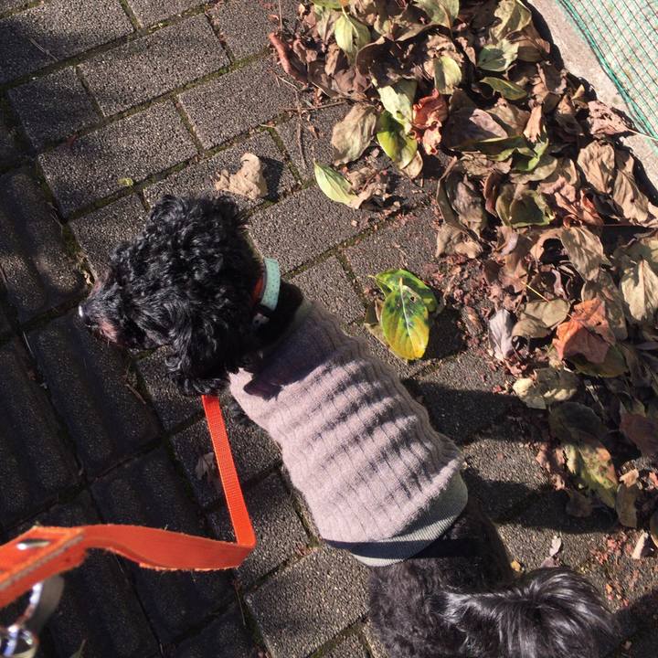 8f29724c 5cee 4c83 9d1f 839b599362dc