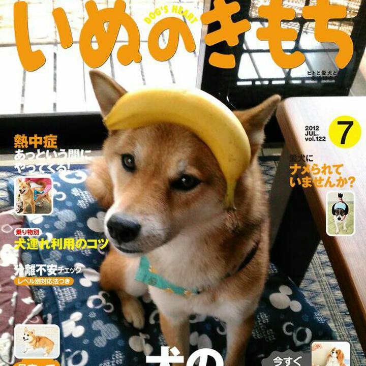 8f29a441 596c 42b4 958a 428c83f9d46d