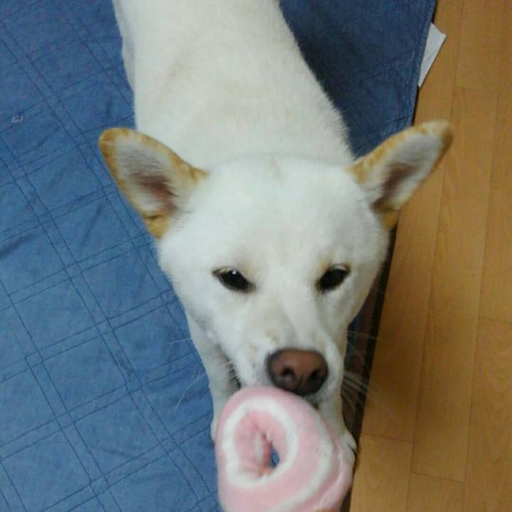 8f29ce4c c169 45e4 a9b5 cfce089277fa