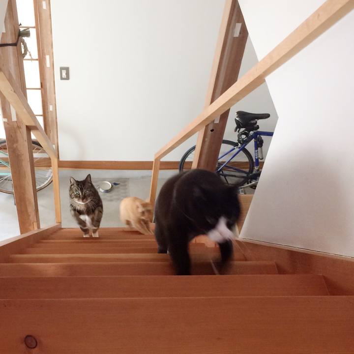 8f2a4022 e1b5 49a1 8abd db7ded12149a