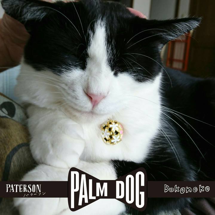 8f2b597a 22fe 4419 aacf 45d4a37cf4d6