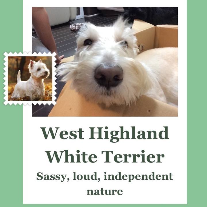 8f2c41c4 8b90 4687 aa3f 6d6443a6a041