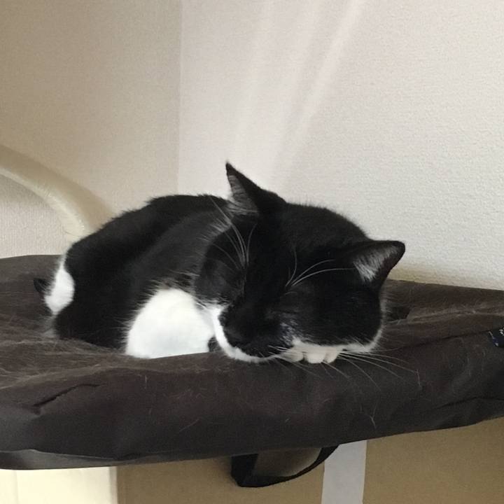 8f2c9393 4cb7 48c7 b965 b027e59a8243