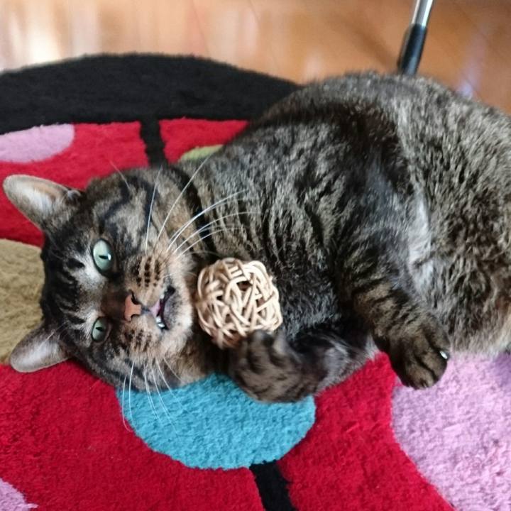 8f2cedd4 16ea 4eb4 bae1 e5b245144827