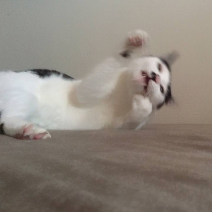 8f2cf29e f883 4220 bd4c b332e10d4638