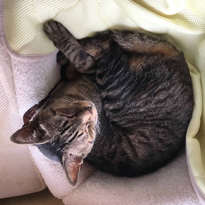 8f2d13d1 4e4c 4a32 9657 afb67edb8347