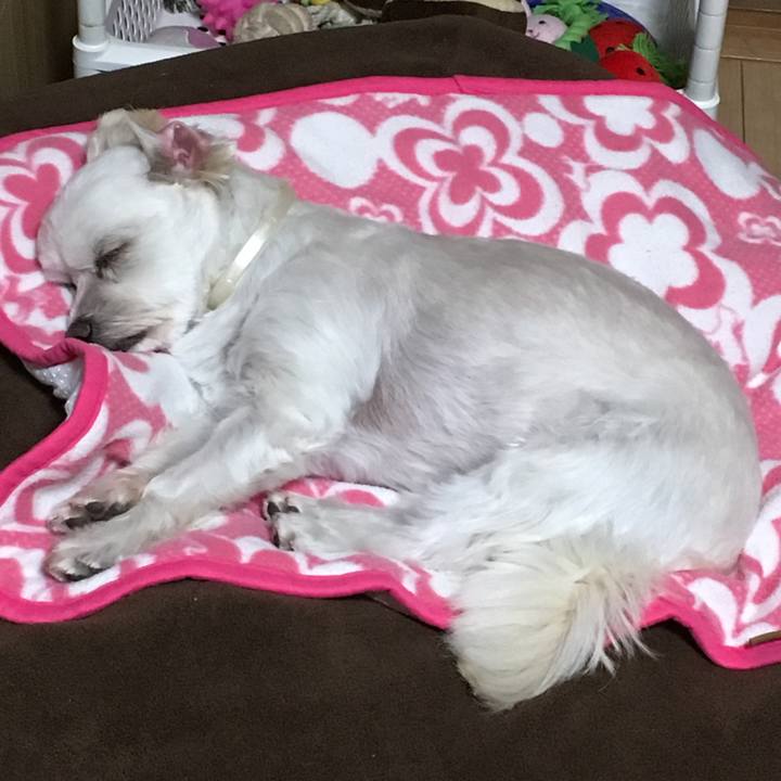 8f2d9c0d 6665 4253 a4c9 1f37721b103b