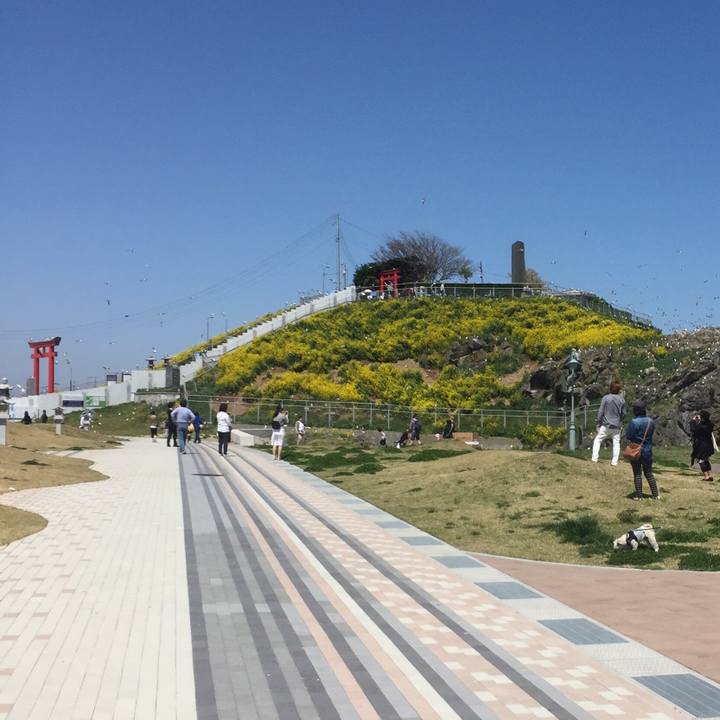 8f2e3930 b264 4df8 b46a 0af36dc6e1a9