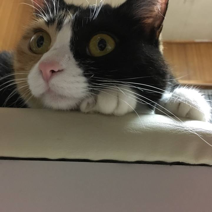 8f2ea7b0 2775 46ec 97e3 05218cbc5186