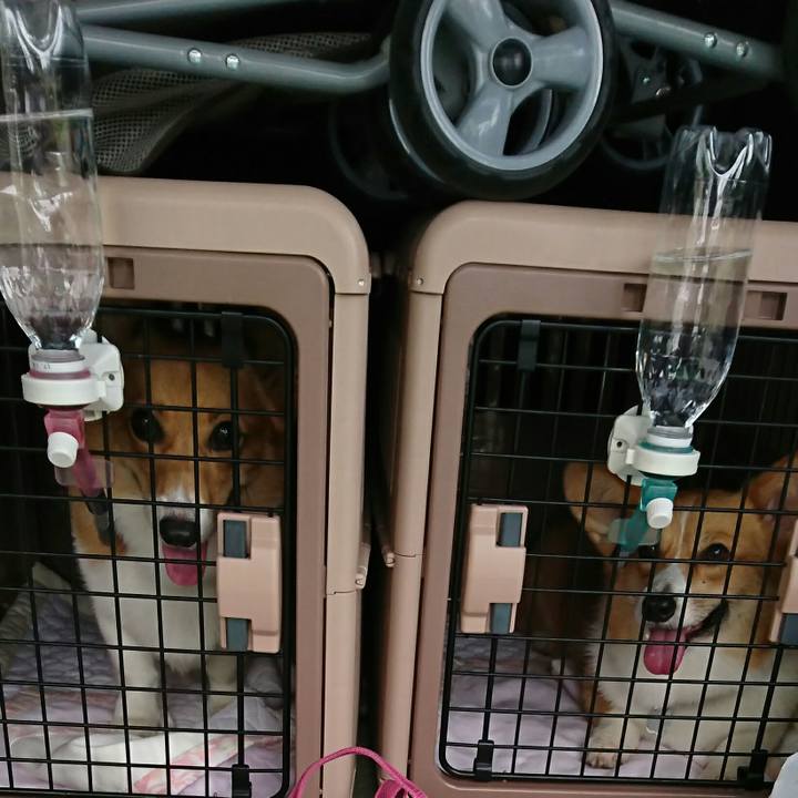 8f2f2df3 6582 4493 a3e7 4ea5c8df0847