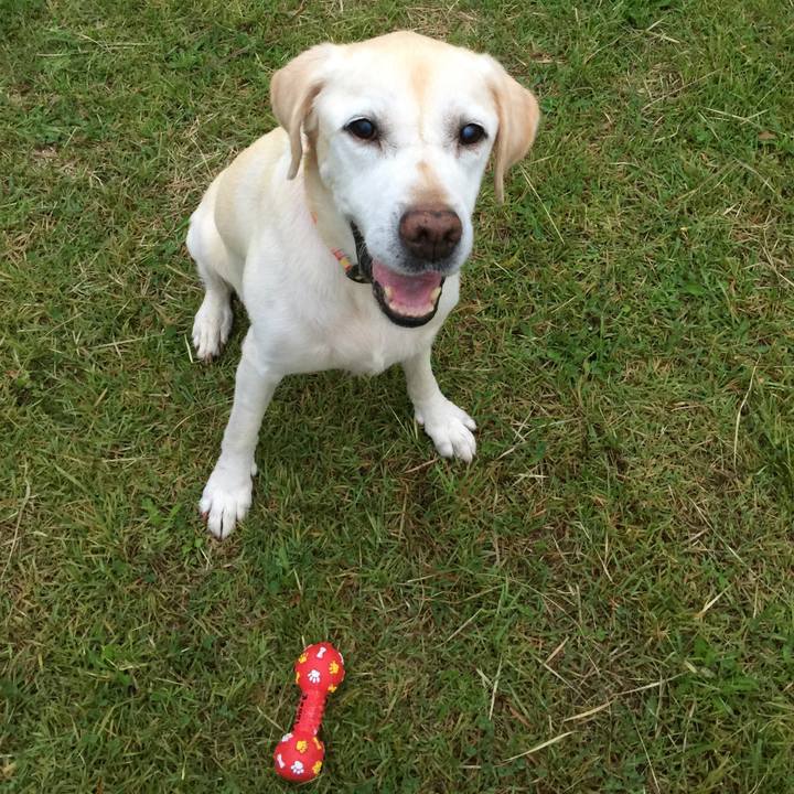 8f2fc03d d173 4f5b a848 4ec472a60111