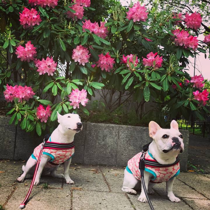 8f2fcdcf f3f3 4ea1 8386 87eaf1f6dba6