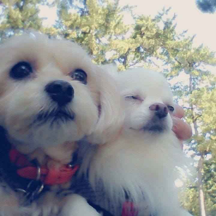 8f2fe95b 0013 4ac1 9800 97e8c34501c1