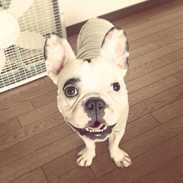 8f308250 62e4 4485 826d 092e88de35c3