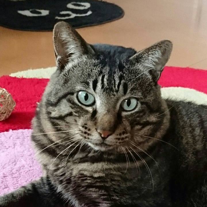 8f309902 09b0 45bc a4a0 0522a3972555