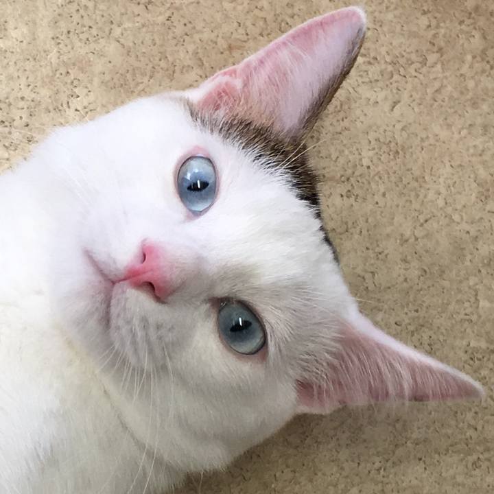 8f30ca59 399e 4f1f a95a 917d56badfeb