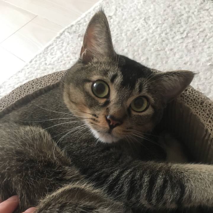 8f30ee57 4da0 422c 8432 6a7dd555db8f