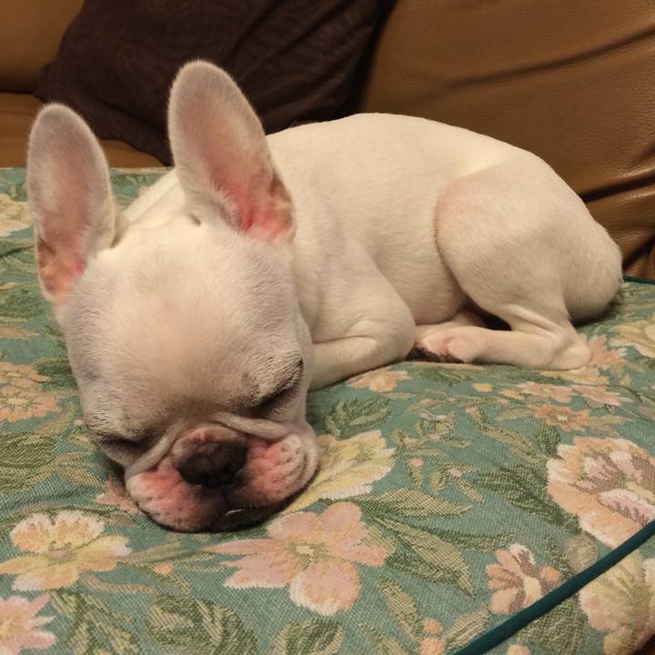 8f3197ca fa3d 4c86 8a2b 65ac0020ce40