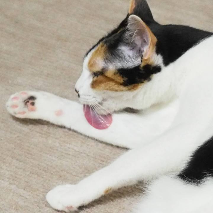 8f33062e ee0e 452b b329 fd9d7519a30f