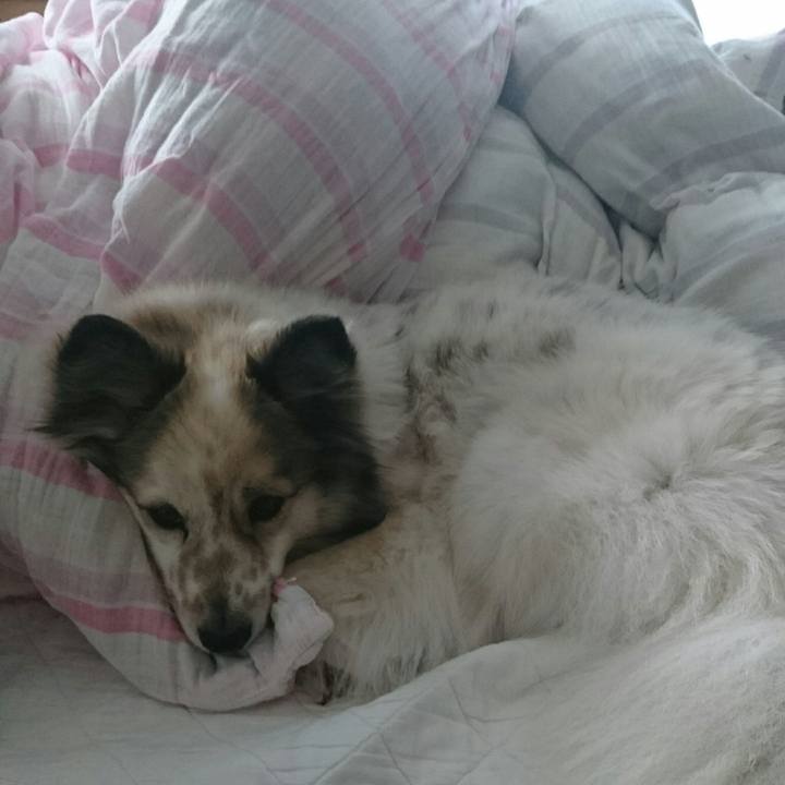 8f330ca5 1e48 4930 84f5 765a16b74a21