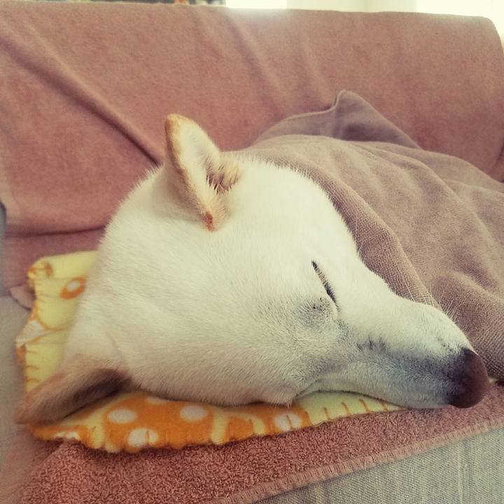 8f3331bb 6af7 405c ae41 7195b8c836a4