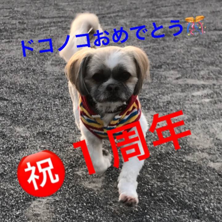 8f340314 fd95 4b74 855c 5ed45d0735a9
