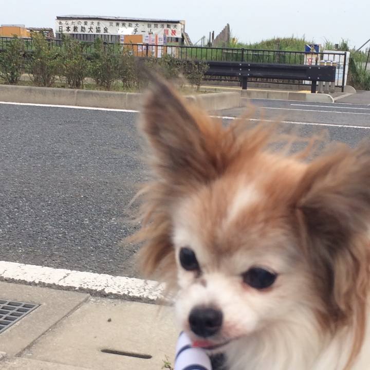 8f34c0ab 6316 42ab 80f1 1b29cb6b36a3