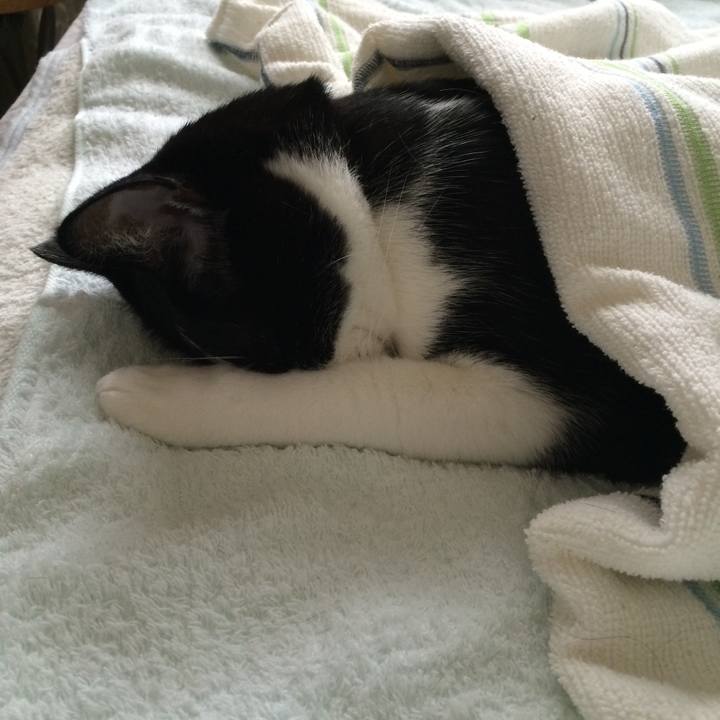 8f34d521 0460 418e 873d 150d316d5386