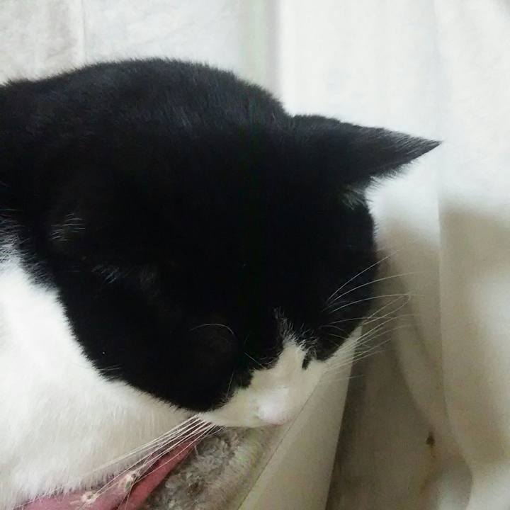 8f3525f4 c4f0 499d a6e7 897d4742627b