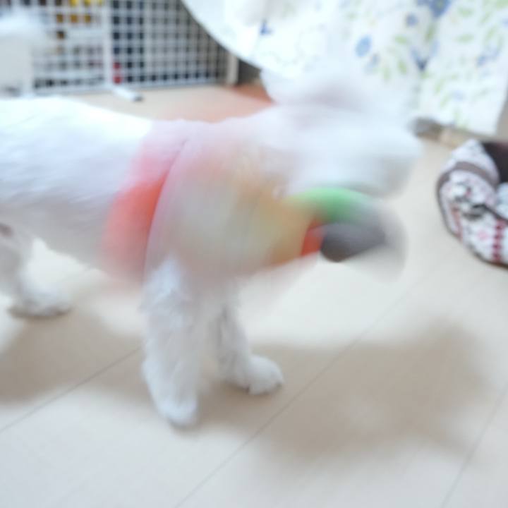 8f35aa9b 0aba 4011 880f e91208ef5c44