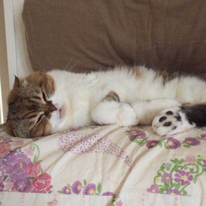 8f35b865 d6d1 4da9 890b 295421deee77