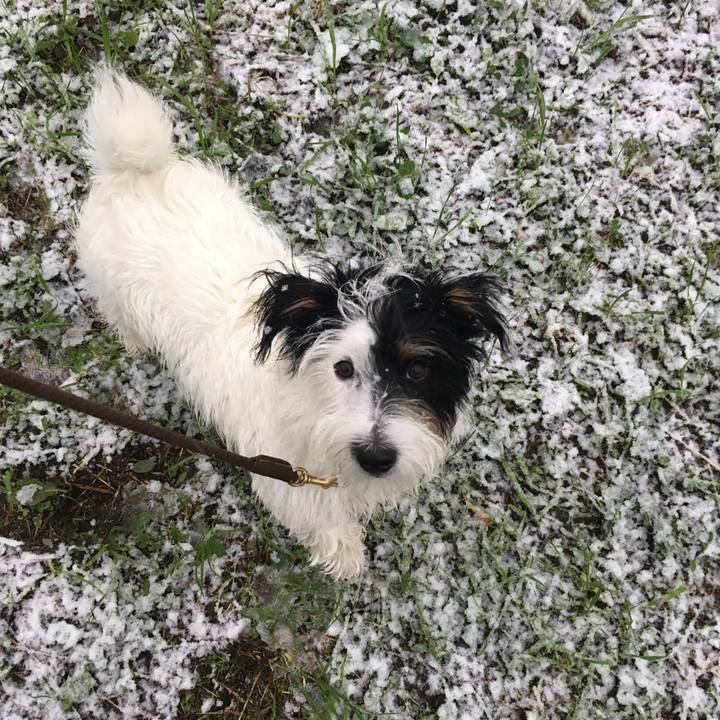 8f36bc50 7a18 4b02 a63c 1a939720022c