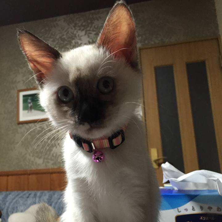 8f38ba3d 0081 466d b588 1e94636ff509