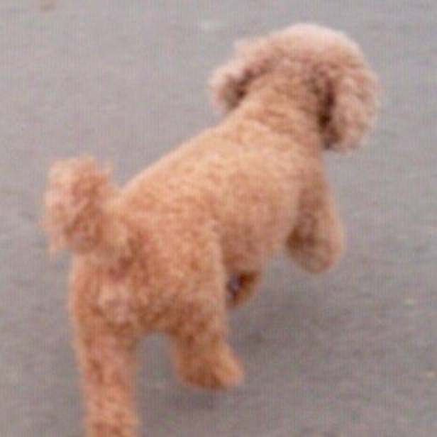 8f38bd29 b352 474c 8aa2 a2d938e5f416