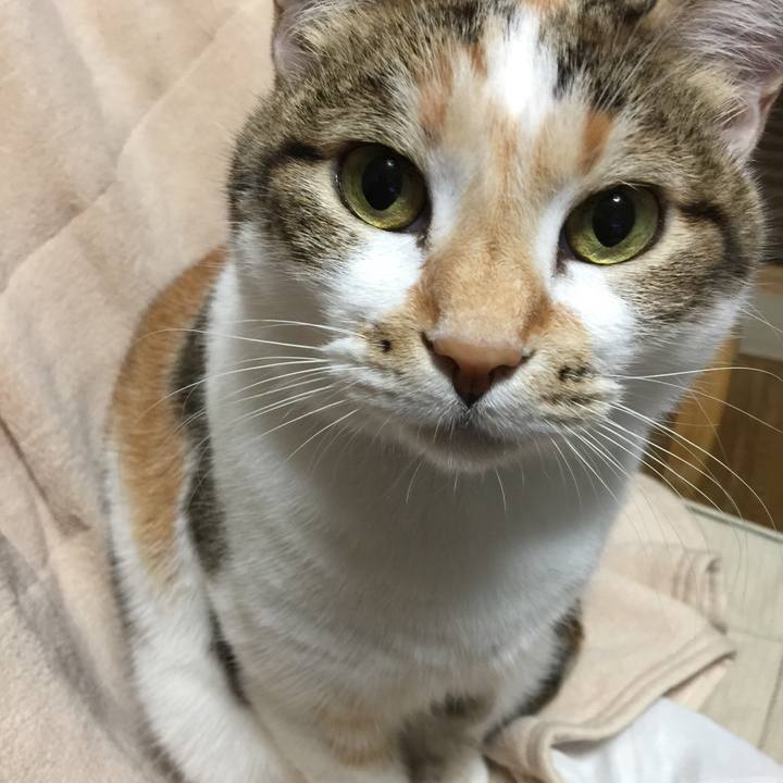 8f38c8ae 03ae 478f 8b32 90233678f5d2