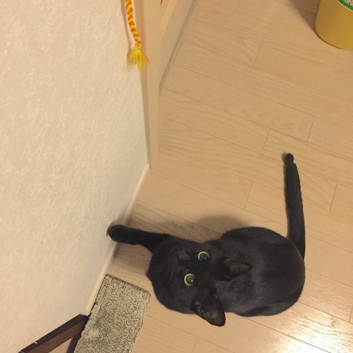 8f38eb6e f750 4224 aff0 e5262db583ba