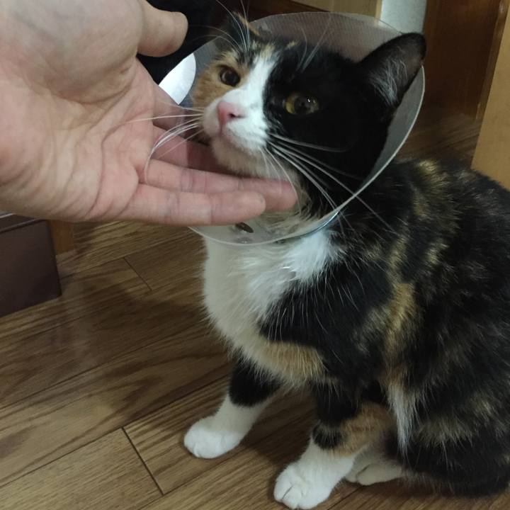 8f395f24 4114 481b 95be d4e8489e3f6b